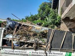 Best Retail Junk Removal  in Canton, NC